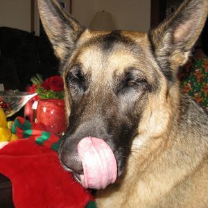 Meet your Posher, Taeh